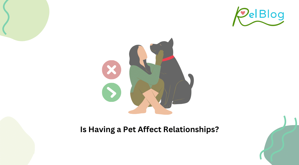 Is Having a Pet Affect Relationships